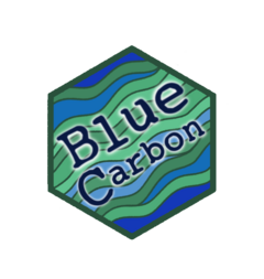 BlueCarbon website